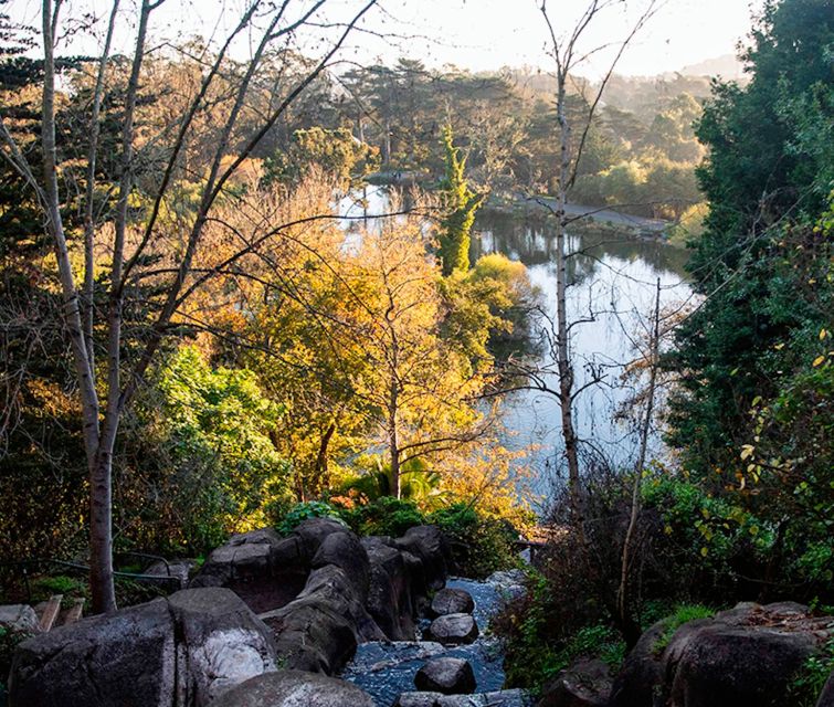 San Francisco: Secrets of Golden Gate Park Audio Tour - Admire Views of San Francisco