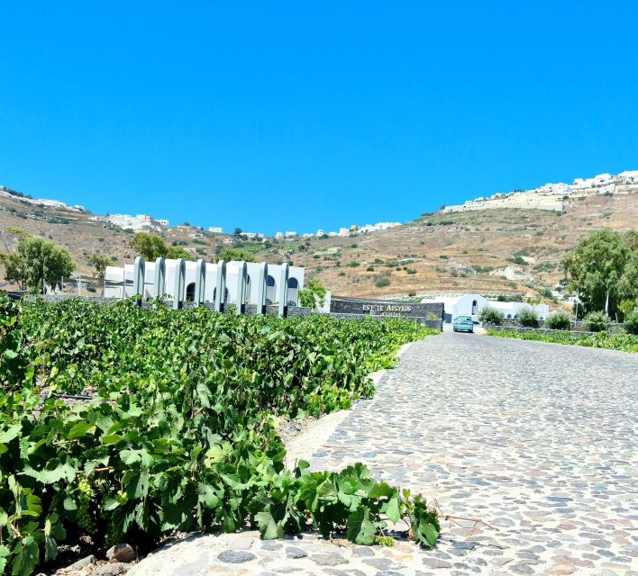 Santorini: Authentic Private Wine Tasting Tour - Argyros Winery