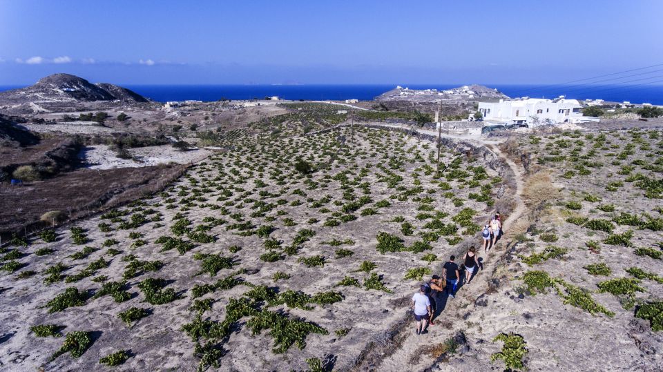 Santorini: Cooking Class and Easy Hike - Pickup and Transportation