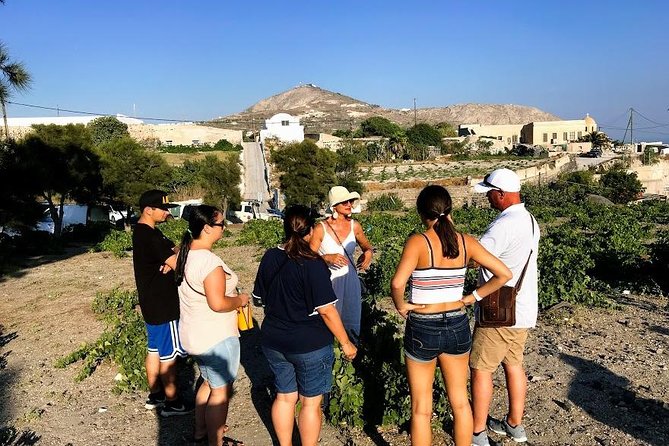 Santorini Half Day Wine Tasting & Winery Tour With Pickup - Suitability and Accessibility