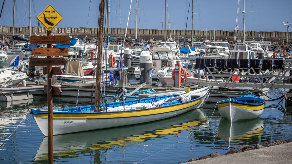 Sao Miguel: Azorean Whalers Heritage Tour - Inclusions