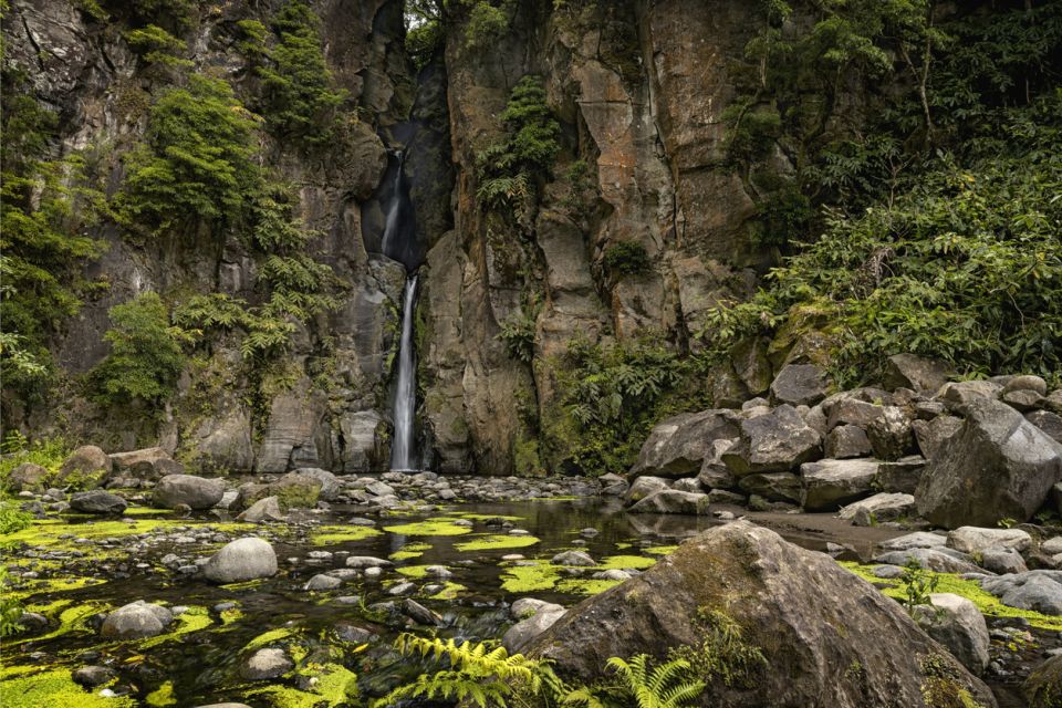 Sao Miguel: Salto Do Cabrito Guided Canyoning Experience - Jumping, Sliding, and Walking the Canyon