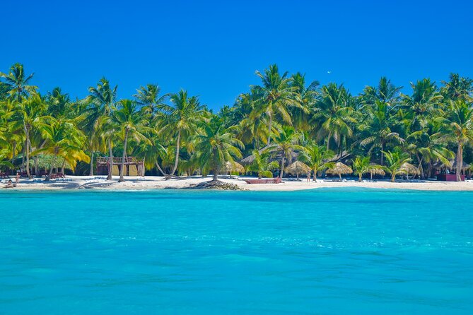 Saona Island Full-Day All-Inclusive Tour From Santo Domingo - Group Size and Accessibility