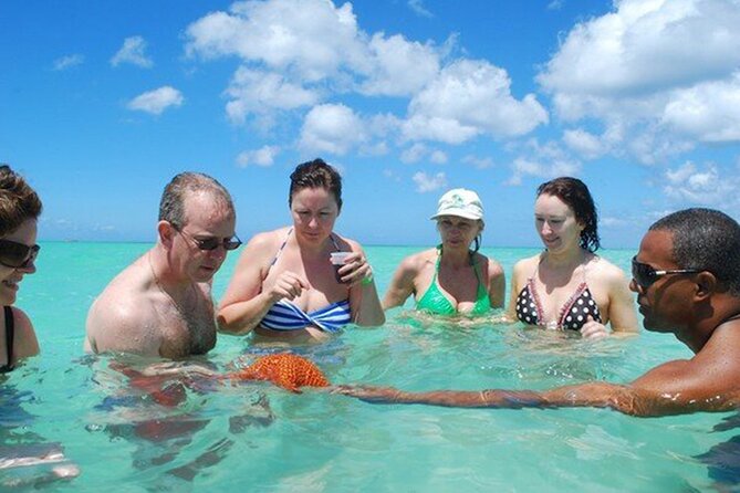 Saona Island Full Day Excursion From Punta Cana + Catamaran Party - Duration and Group Size