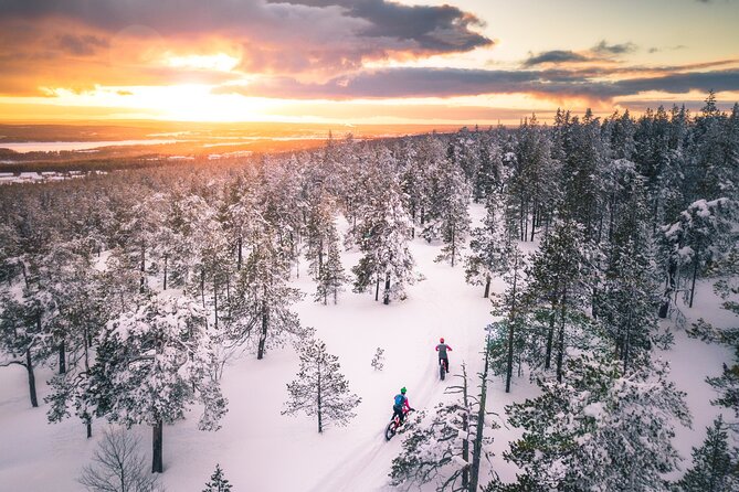 Scenic Electric Fat Bike Group Ride in Rovaniemi - Scenic Arctic Landscape