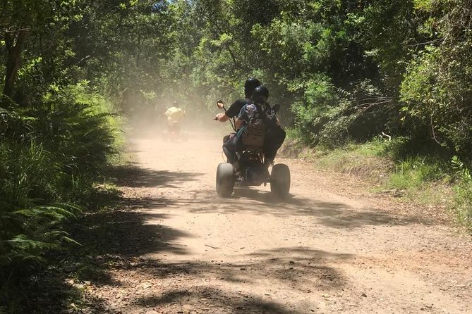 Scooter Tours Through Tsitsikamma National Park - Refreshing Swim at Storms River