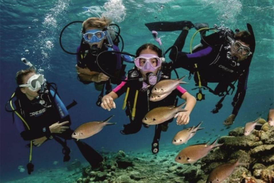 Scuba Diving: Explore the Depths of Alanya - Highlights