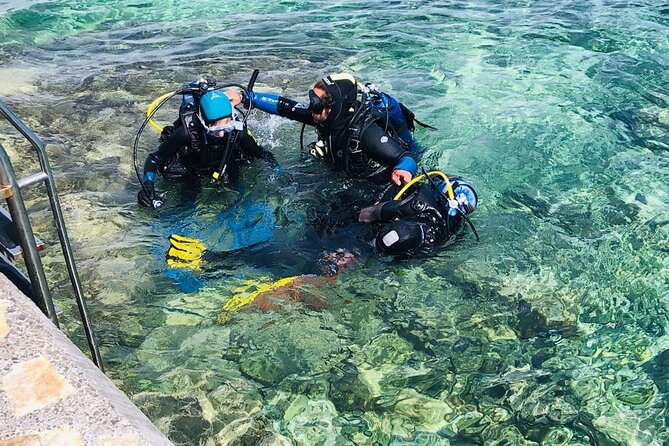 Scuba Diving for Beginners in Pula - Additional Details