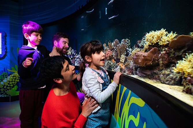 SEA LIFE London Aquarium Admission Ticket - Shark Walk and Shark Reef Encounter