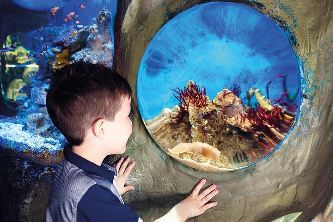 SEA LIFE Timmendorfer Strand Admission Ticket - Additional Information