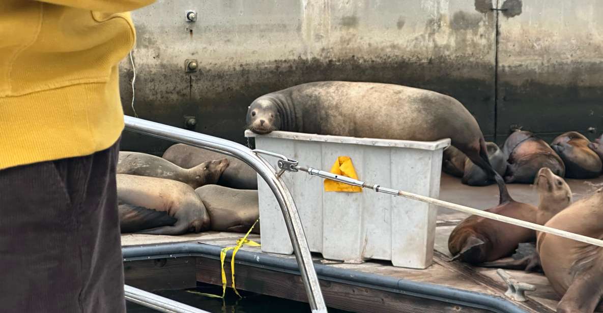 Sea Lion Excursion - Booking Information