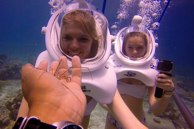 Sea Trek Helmet Dive at Coral World Ocean Park - Discovering Coral World Ocean Park