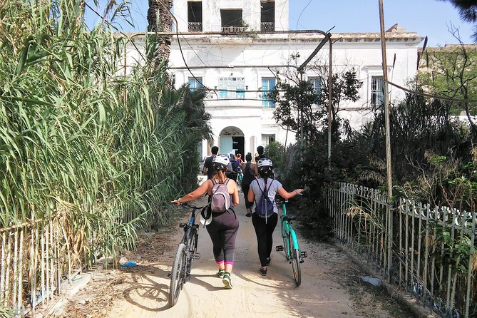 Self Guided Bike Tour of Carthage Archeological Site - Traveler Reviews