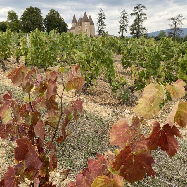 Self-Guided Day-Trip by Train to the Beaujolais (From Lyon) - Self-Guided Hiking Route