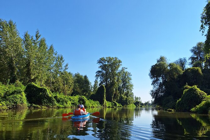 Self-Guided Kayak Tour in Belgrade - Pricing and Policies