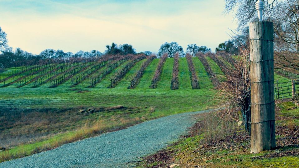 Self-Guided Wine Tasting Audio Tour - Amador County CA - Included and Not Included