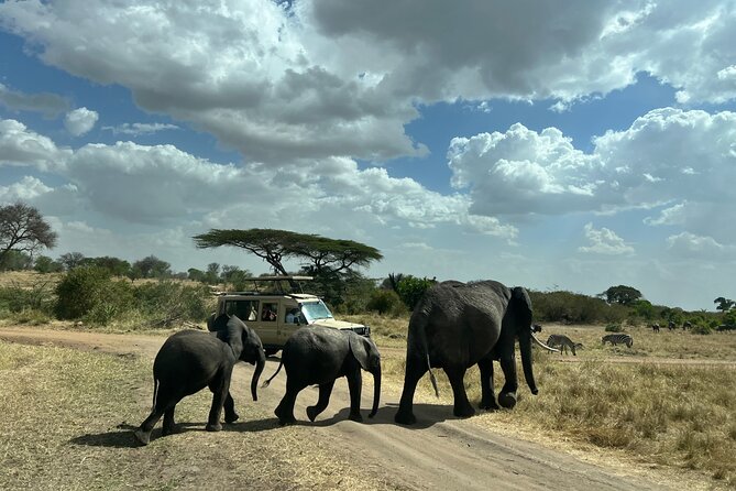 Serengeti 2-Day Safari From Mwanza - Included Meals and Services