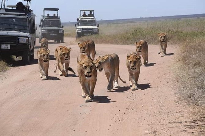 Serengeti, Ngorongoro & Tarangire 5days Private Tour - Ngorongoro Crater