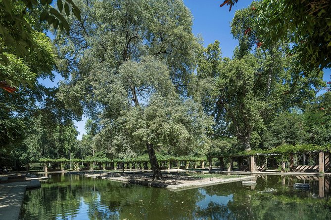 Seville Day Trip With Cathedral Entrance Direct From Malaga - Group Size and Accessibility