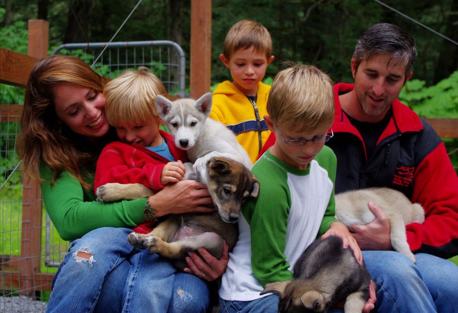 Seward: Summer Dog Sled Ride and Seavey Estate Tour - Customer Feedback