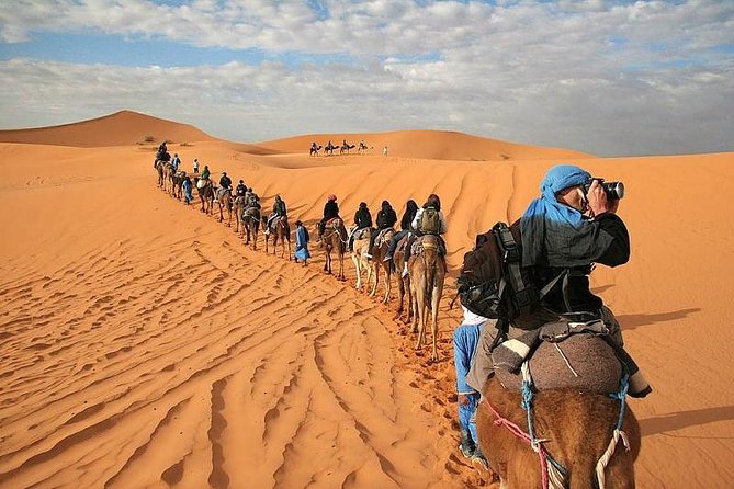 Shared Group Desert Tour From Marrakech to Fes 3 Days - Pickup and Transportation