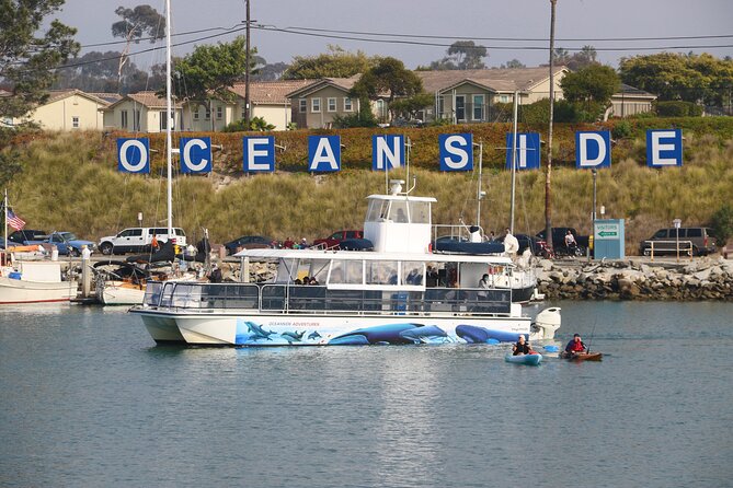 Shared Two-Hour Whale Watching Tour From Oceanside - Departure Options