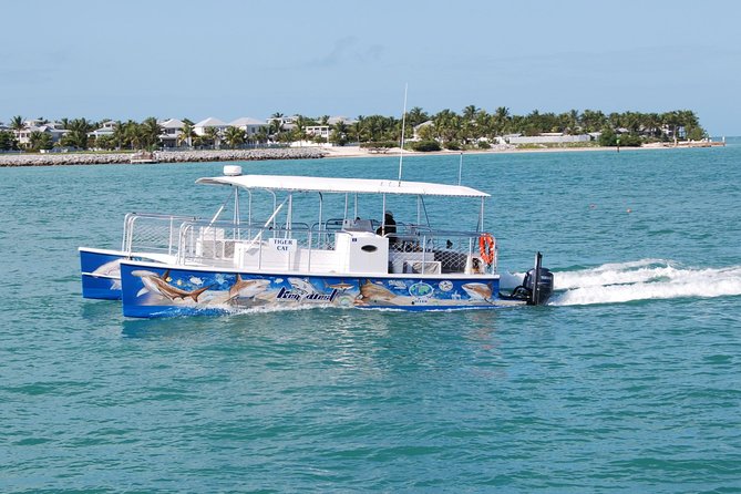 Shark and Wildlife Viewing Adventure in Key West - Booking Information