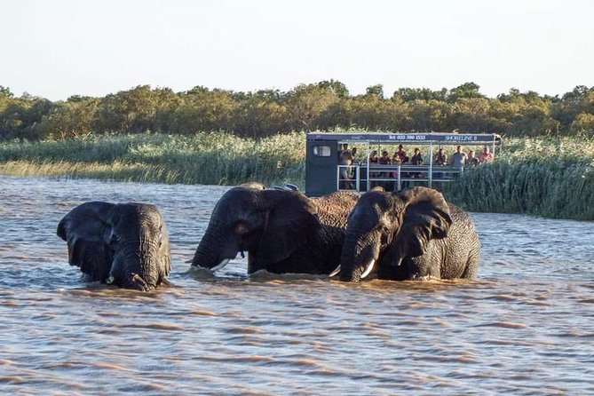 Shoreline Hippo and Crocodile Boat Cruises, Isimangaliso Wetland Park - Confirmation and Accessibility