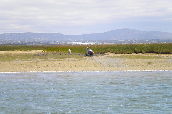 Short Boat Trip of the Algarves Ria Formosa Lagoon From Faro: 1 Hour - Meeting and End Point Details