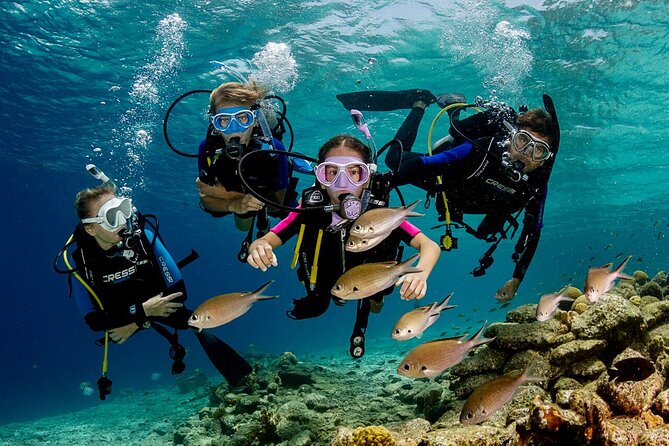 Side Scuba Diving With Under Water Museum: 2 Dives With Lunch And Free Transfer - Inclusions