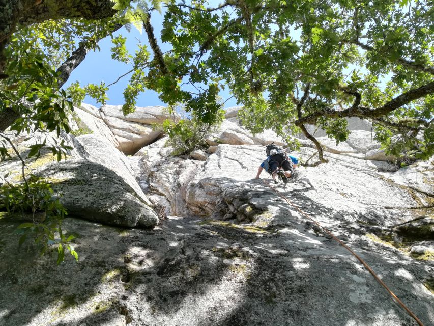 Sintra: 3.5-Hour Rock Climbing Experience - Combination of Sport and Nature