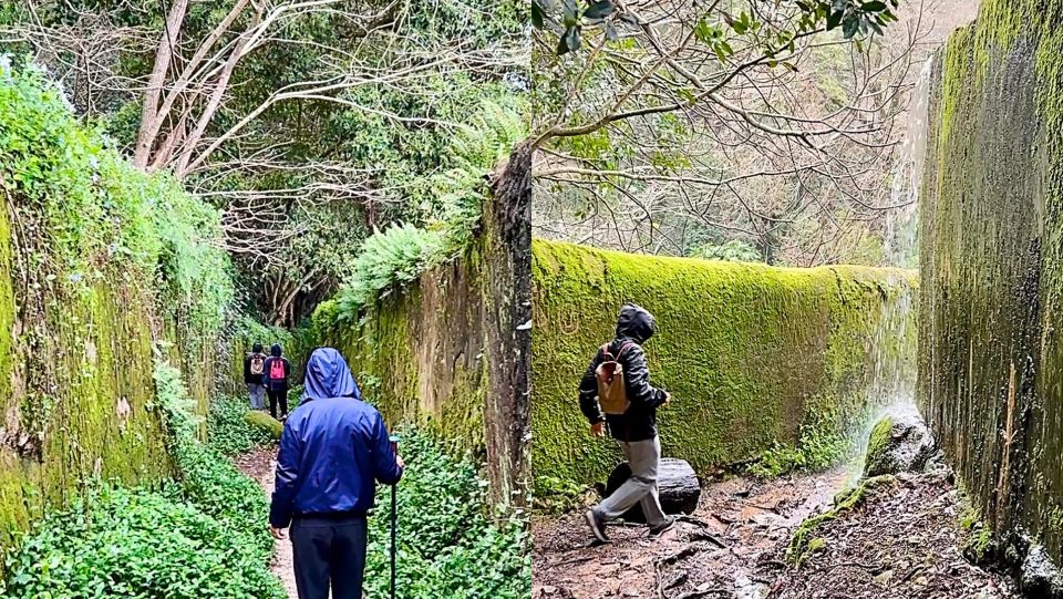 Sintra: Adventure Hike Around Sintras Most Popular Castles - Booking Information