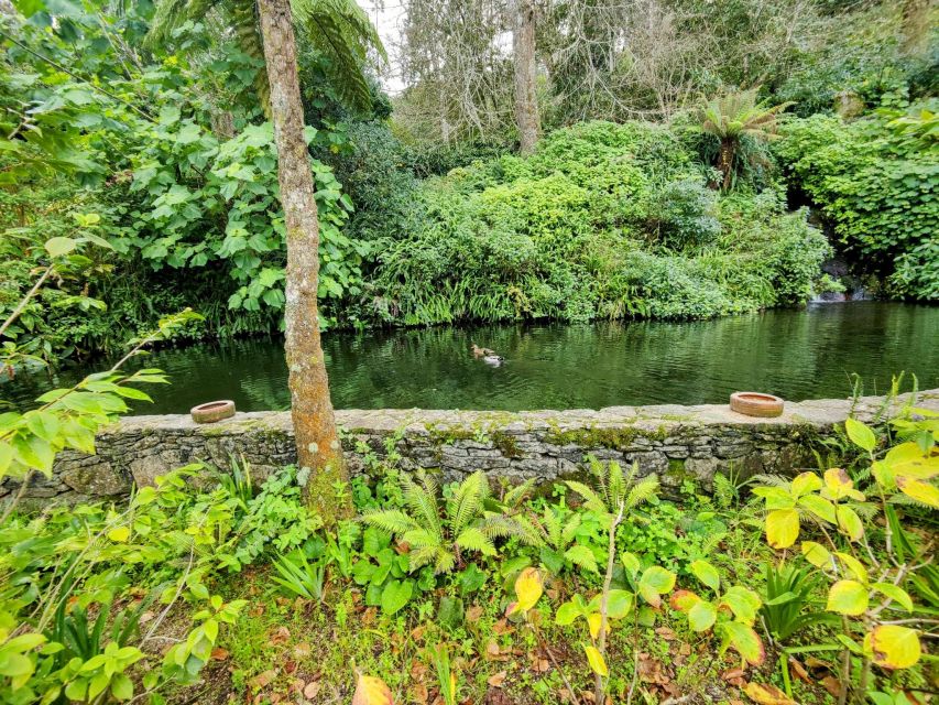 Sintra Private Tour: Regaleira and Biester Palace - Delve Into History