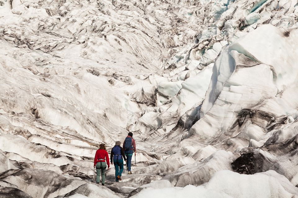 Skaftafell: Extra-Small Group Glacier Hike - Guides and Equipment