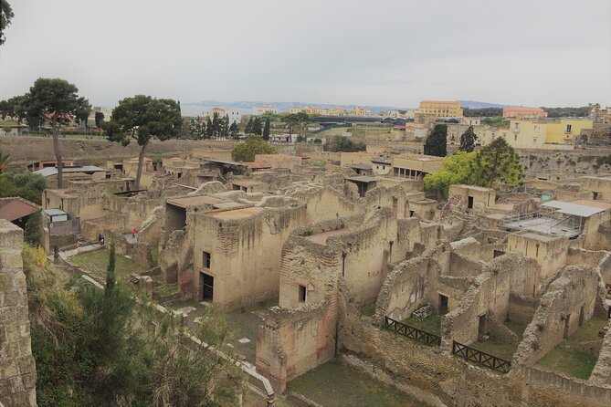 Skip the Line Ancient Herculaneum Walking Tour With Top Rated Guide - Directions