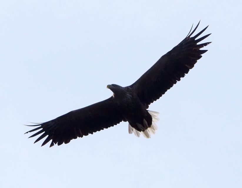 Skjervøy: Birds and Wildlife of Arctic Norway - Sami and Norwegian Culture