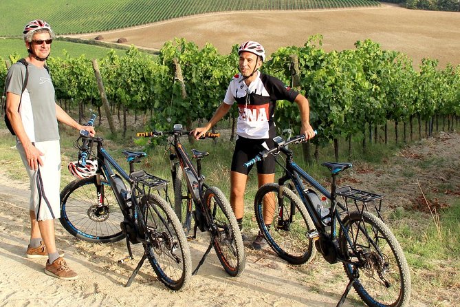 Small Group E-Bike Chianti Tour With Farm Lunch From Siena - Farm and Winery Stop