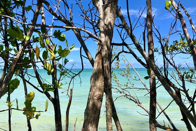 Small Group Kayak Tour of the Shell Key Preserve - Stopping at Shell Island