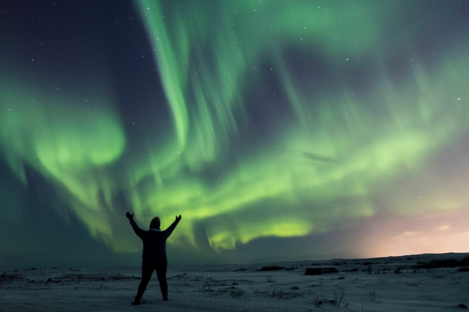 Small-Group Premium Northern Lights Tour From Reykjavik - What to Expect