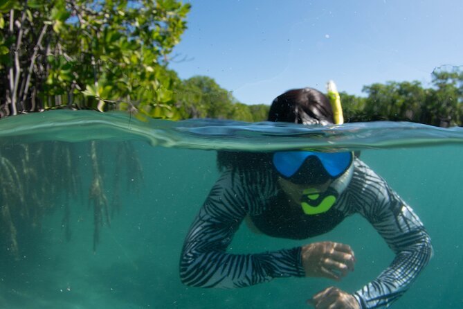 Small-Group Snorkeling Boat Trip in Guánica, Puerto Rico - Private Transportation