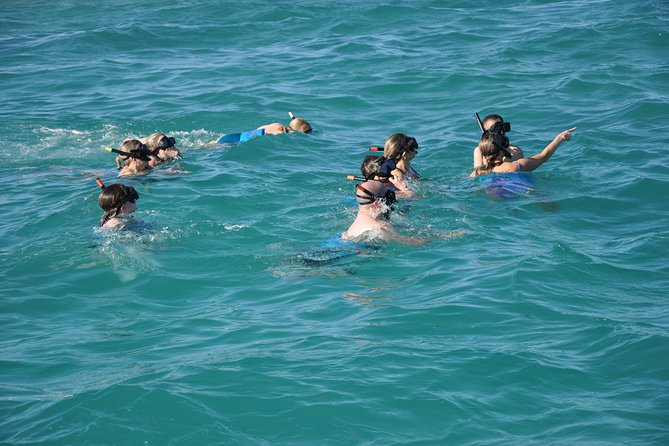 Small Group Snorkeling, Sharks & Rays Encounter At Punta Cana - Booking Confirmation Process