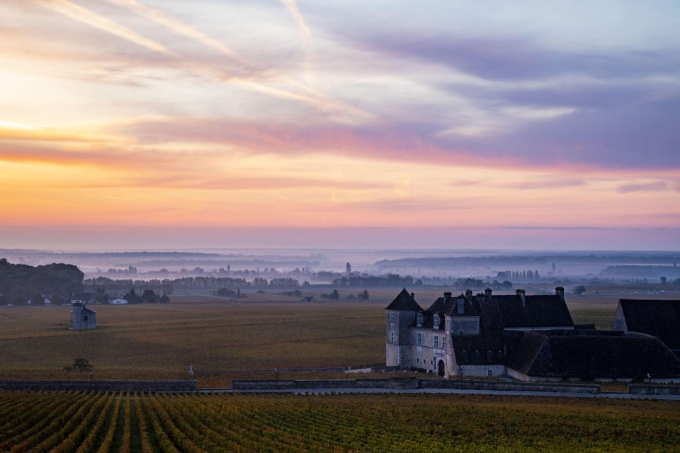 Small Group Tour Morning in Cote De Beaune - Wine Tasting Experience