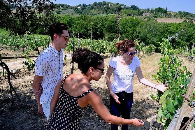 Small-Group Vernaccia Di San Gimignano Wine Tour - White and Red Wines - Additional Information