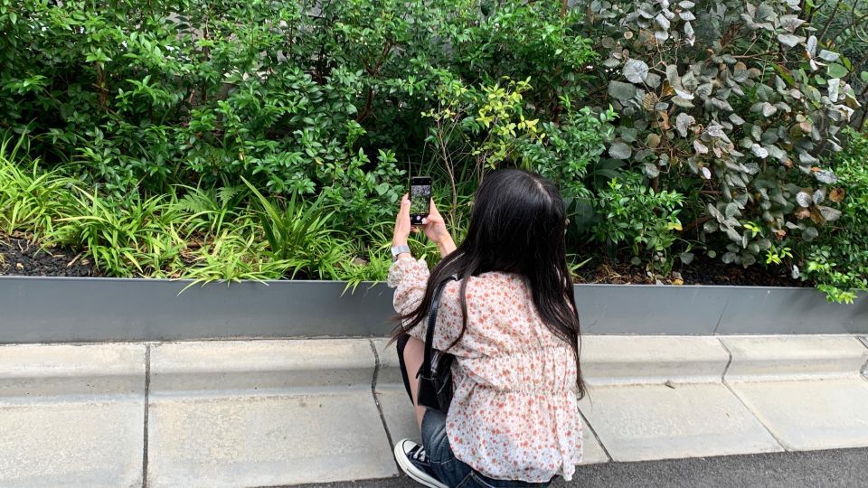 Smartphone Photography Experience in Tokyo - Pricing and Cancellation