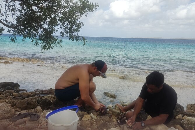 Snorkeling and Grilling Fresh Fish at Donkey Beach - Traveler Reviews