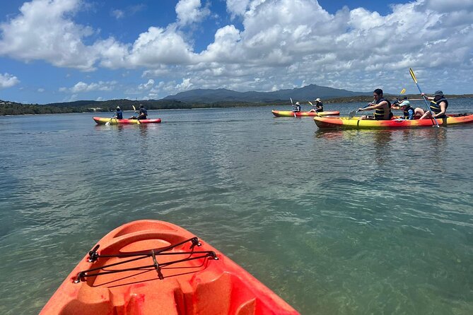 Snorkeling and Kayak Eco-Experience - Important Considerations for Travelers