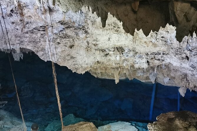 Snorkeling in the Cenotes of Bayahibe - Tour Experience