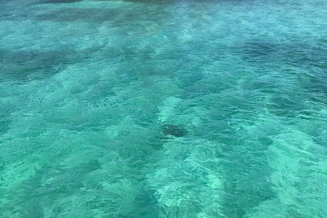 Snorkeling With The Turtles - Booking Information