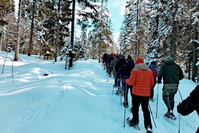 Snowshoe Tour in Winter Wonderland - Oslo - Group Size