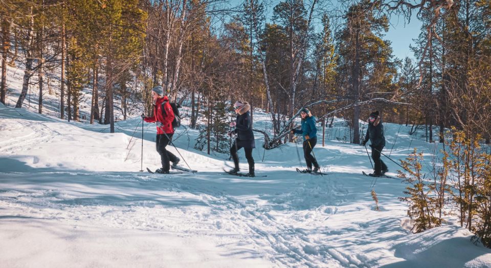 Snowshoeing Adventure to the Enchanting Frozen Waterfall - Discovering the Frozen Orvvosfossen Waterfall